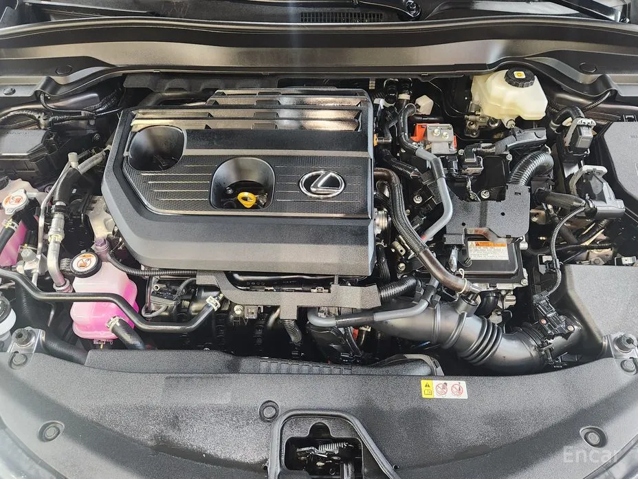Lexus UX 2024 2.0 F-Sport 2WD
