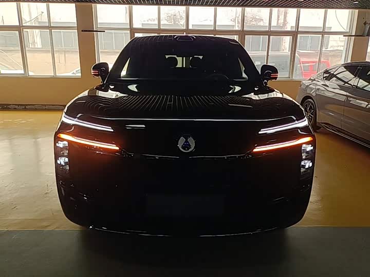 2025 Denza N8L