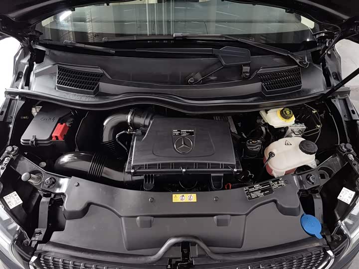 Mercedes-Benz V-Class 2022 2022款 V 260 L 长轴距豪华版