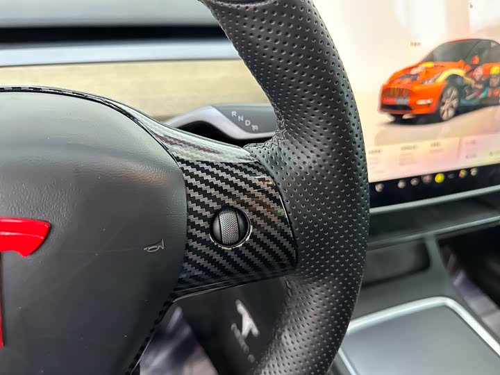 Tesla Model Y 2022 2022款 改款 后轮驱动版