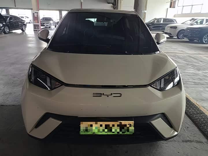 Фото 3 - BYD Seagull