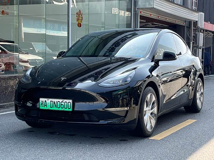 Tesla Model Y 2022 2022款 长续航全轮驱动版