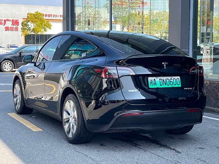 Tesla Model Y 2022 2022款 长续航全轮驱动版