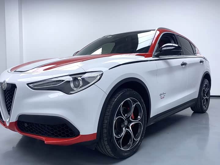Alfa Romeo Stelvio 2021 2021款 2.0T 280HP 豪华版