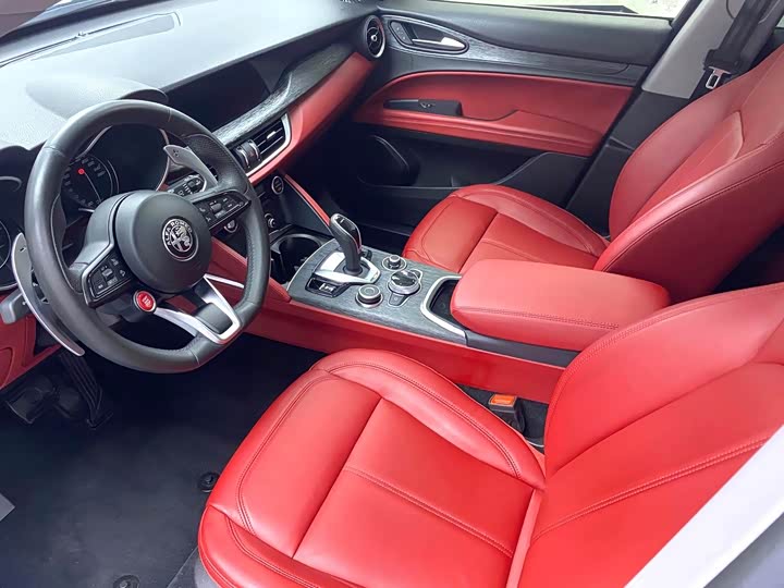 Alfa Romeo Stelvio 2021 2021款 2.0T 280HP 豪华版