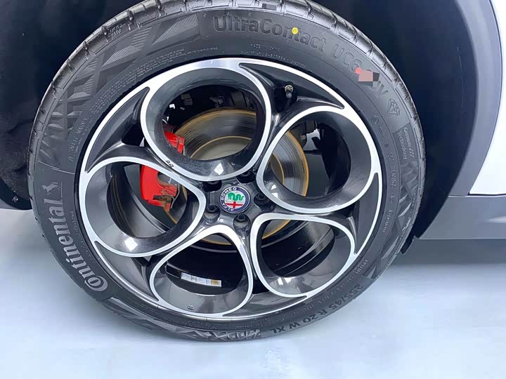 Alfa Romeo Stelvio 2021 2021款 2.0T 280HP 豪华版
