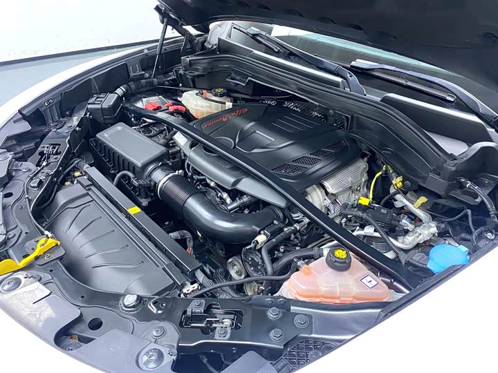 Alfa Romeo Stelvio 2021 2021款 2.0T 280HP 豪华版