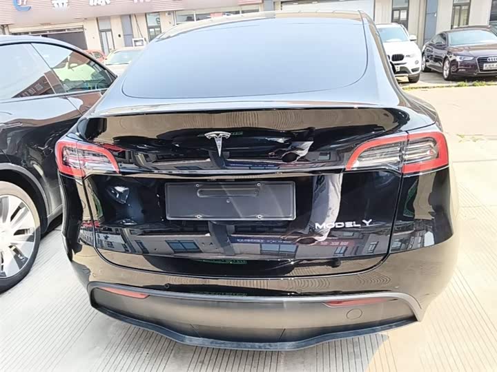 Tesla Model Y 2022 2022款 改款 后轮驱动版