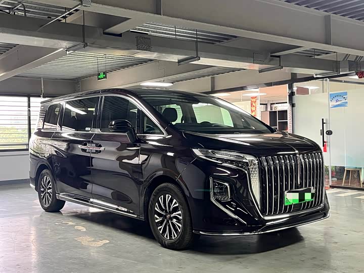 2024 Hongqi HQ9