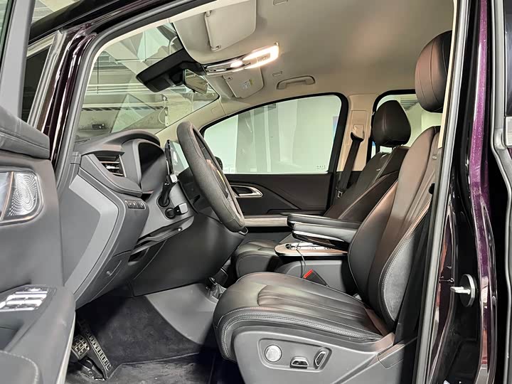 Hongqi HQ9 2024 2024款 2.0T 商务版