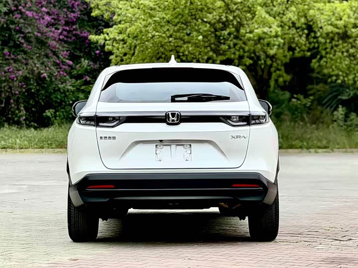 Фото 5 - Honda XR-V
