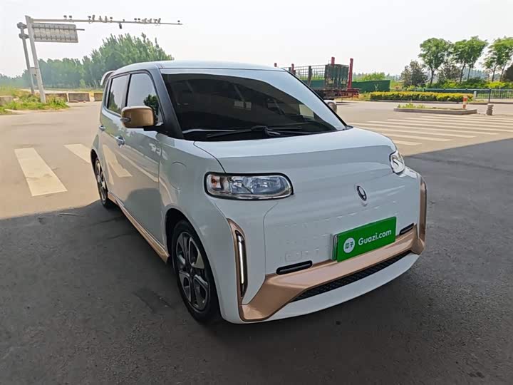 2022 Ora White Cat
