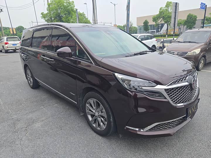 Фото 2 - Buick GL8 ES