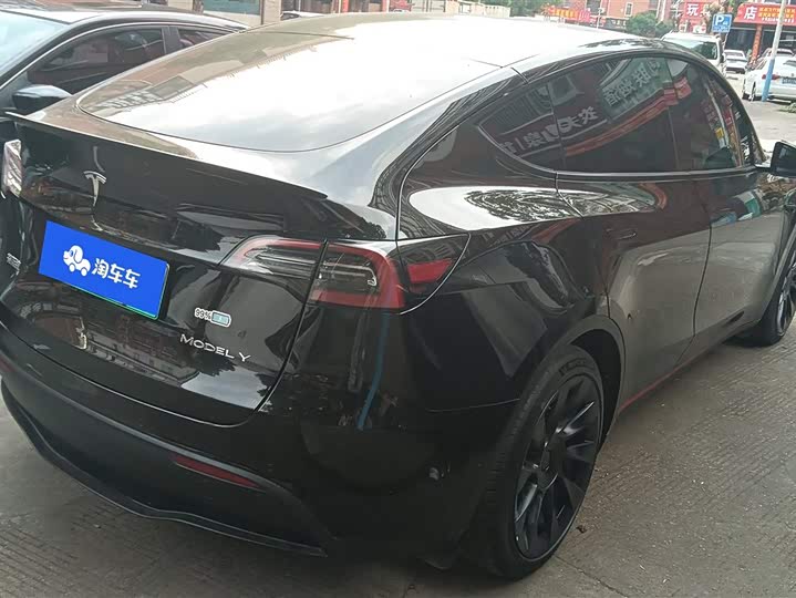Tesla Model Y 2022 2022款 后轮驱动版