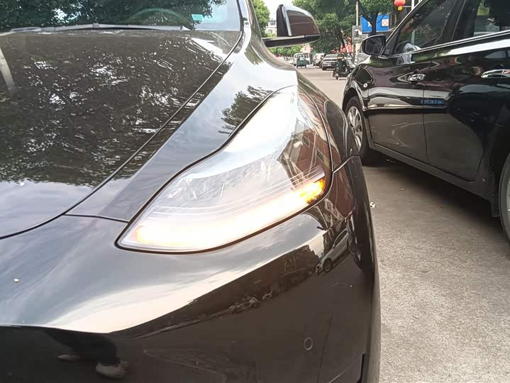 Tesla Model Y 2022 2022款 后轮驱动版