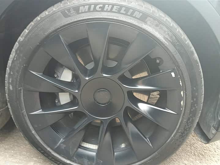 Tesla Model Y 2022 2022款 后轮驱动版