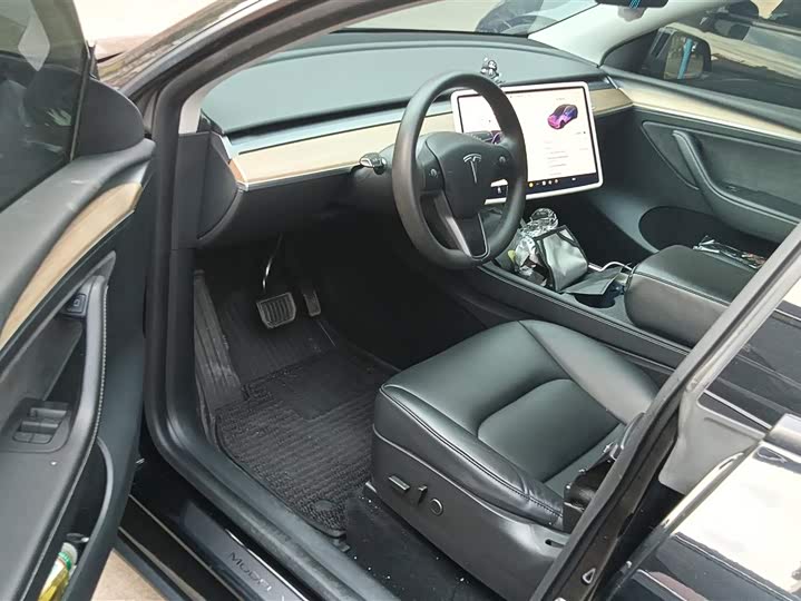 Tesla Model Y 2022 2022款 后轮驱动版