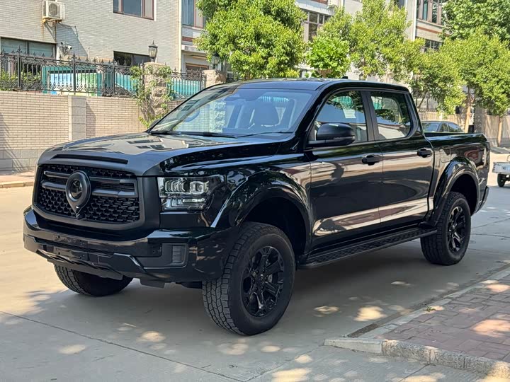 Great Wall Shanhai Poer Hybrid 2025 2025款 Hi4-T 全球版