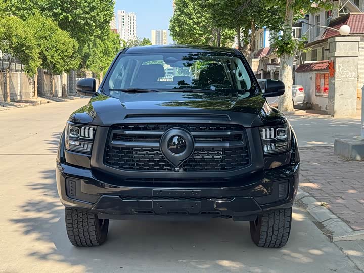 Great Wall Shanhai Poer Hybrid 2025 2025款 Hi4-T 全球版