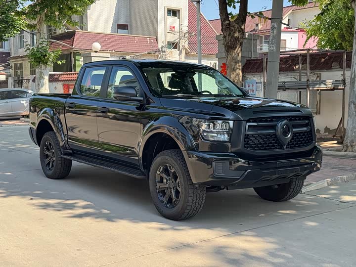 Great Wall Shanhai Poer Hybrid 2025 2025款 Hi4-T 全球版