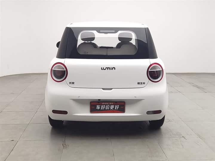 Zdjęcie 4 - Changan Qiyuan (Nevo) Lumin