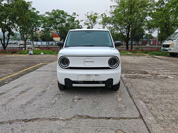 Geely Galaxy Panda Mini 2023 2023款 熊猫mini 200km 耐力熊