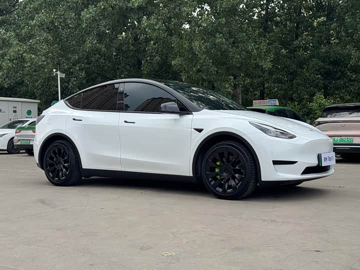 Tesla Model Y 2022 2022款 后轮驱动版