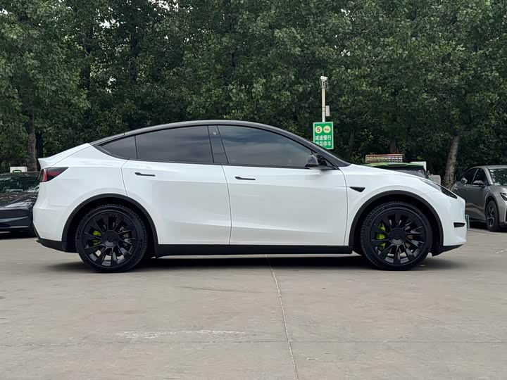 Tesla Model Y 2022 2022款 后轮驱动版