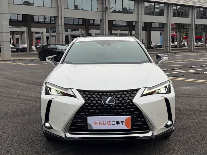 Lexus UX Hybrid 2020 2020款 300e 纯·悦版