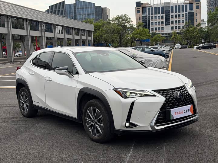 Lexus UX Hybrid 2020 2020款 300e 纯·悦版