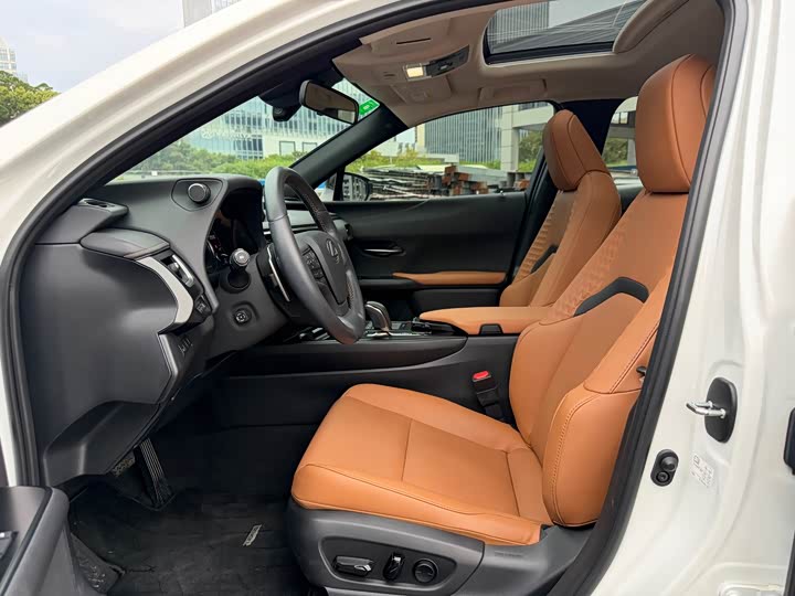 Lexus UX Hybrid 2020 2020款 300e 纯·悦版