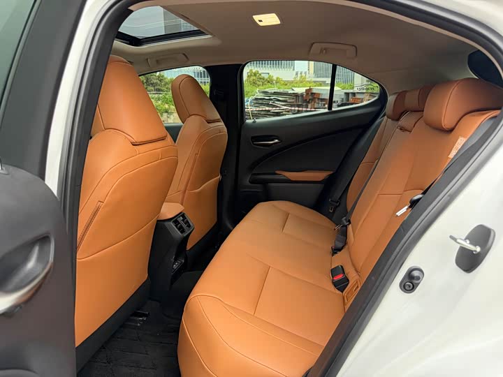 Lexus UX Hybrid 2020 2020款 300e 纯·悦版