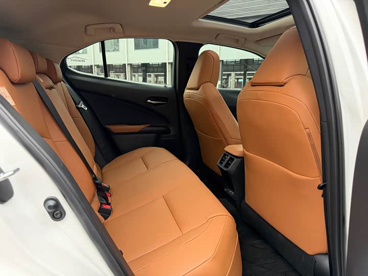 Lexus UX Hybrid 2020 2020款 300e 纯·悦版