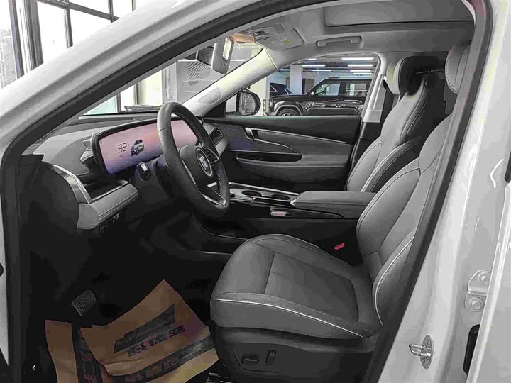 Buick Electra E5 2025 2025款 620KM尊享版