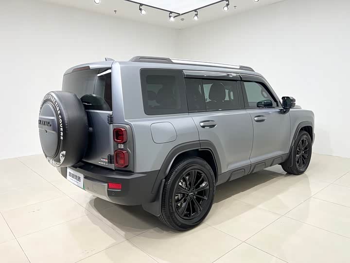 Haval Raptor Hybrid 2024 2024款 Hi4 145 穿越版