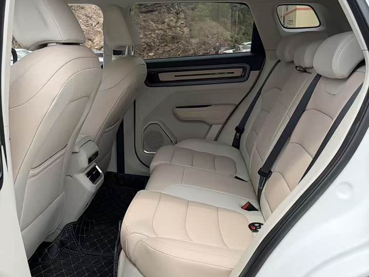 Geely Icon 2023 2023款 1.5TD 巧克力醇巧版