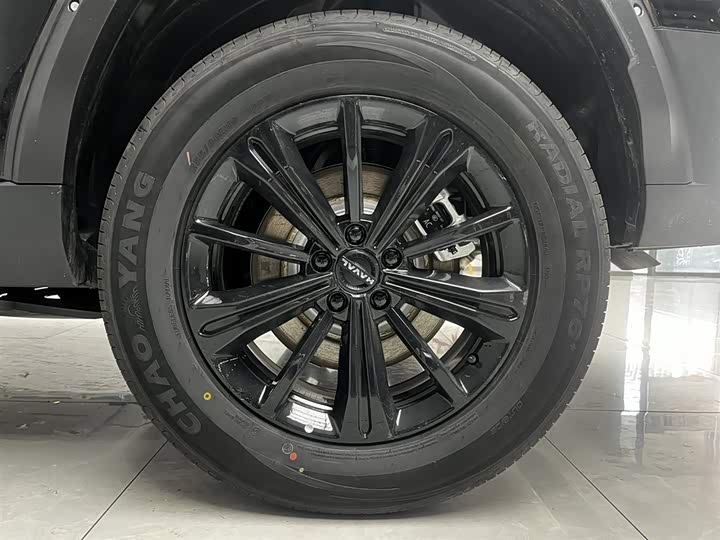 Haval Raptor Hybrid 2026 2026款 Hi4 150 Pro 磷酸铁锂