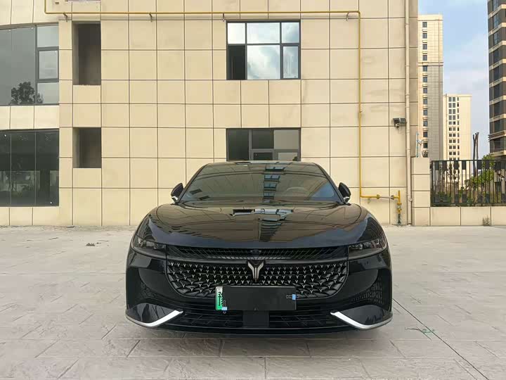 Voyah Passion 2024 2024款 PHEV 四驱超长续航行政版