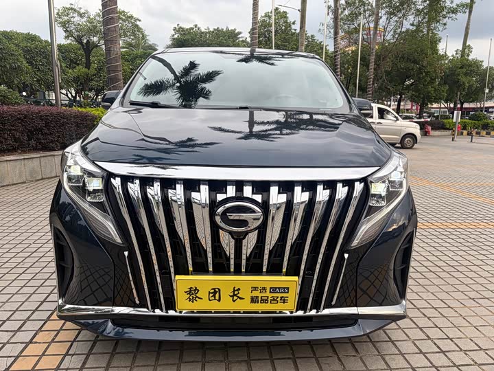 Фото 2 - GAC Trumpchi M8