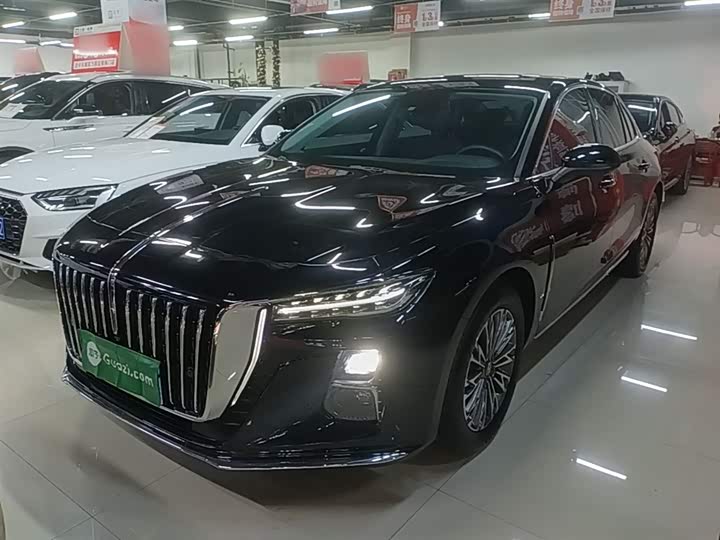 Фото 1 - Hongqi H5