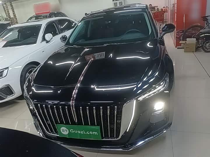 Фото 3 - Hongqi H5