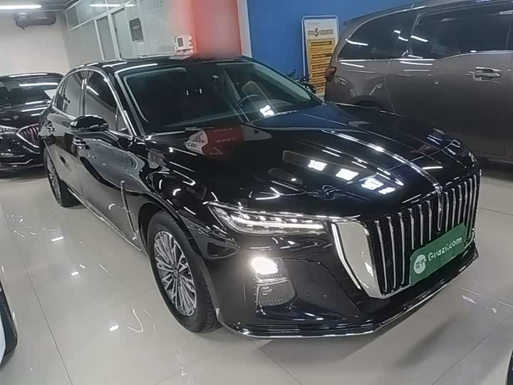 Фото 4 - Hongqi H5
