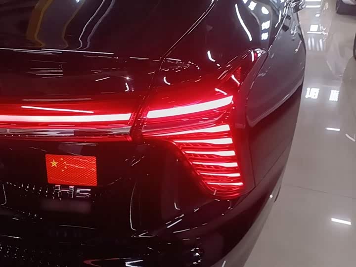 Фото 8 - Hongqi H5