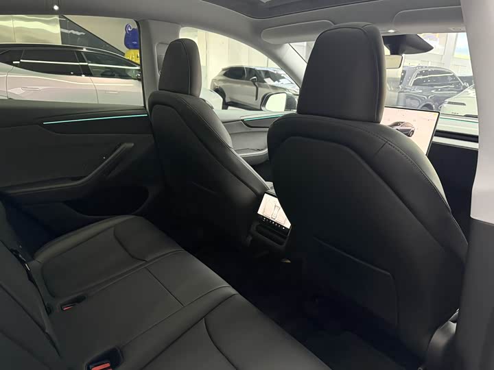 Tesla Model Y 2025 2025款 后轮驱动版