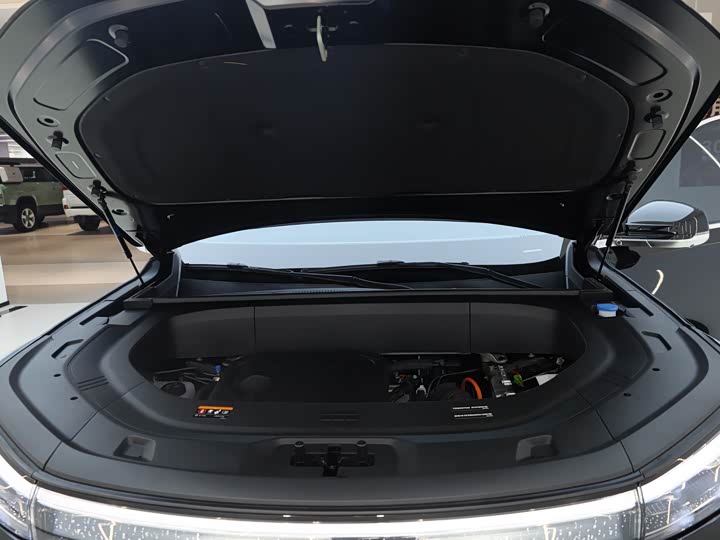 Geely Galaxy M9 2025 2025款 210km 四驱领航版