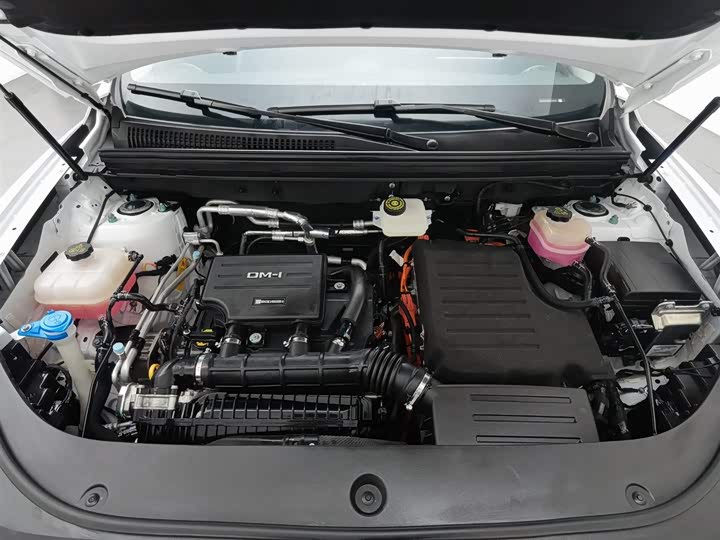 BYD Sea Lion 05 DM-i Hybrid 2025 2025款 DM-i 75KM尊贵型