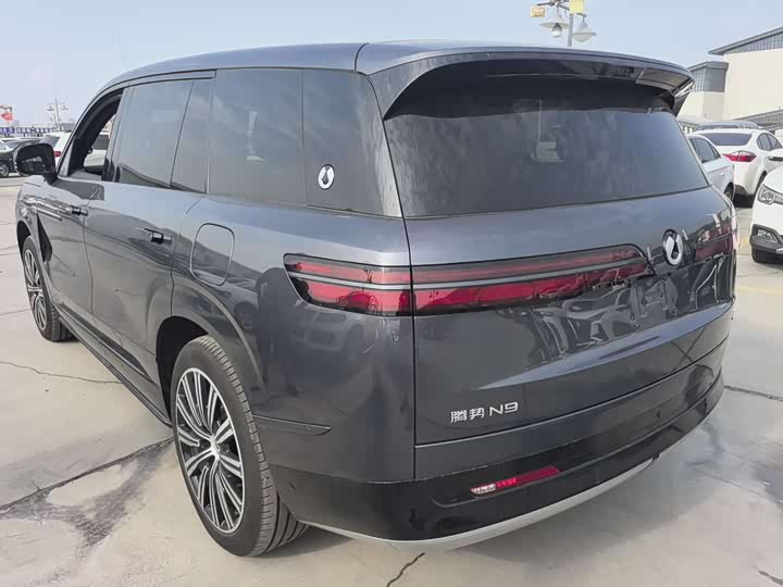 Denza N9 2025 2025款 尊荣型