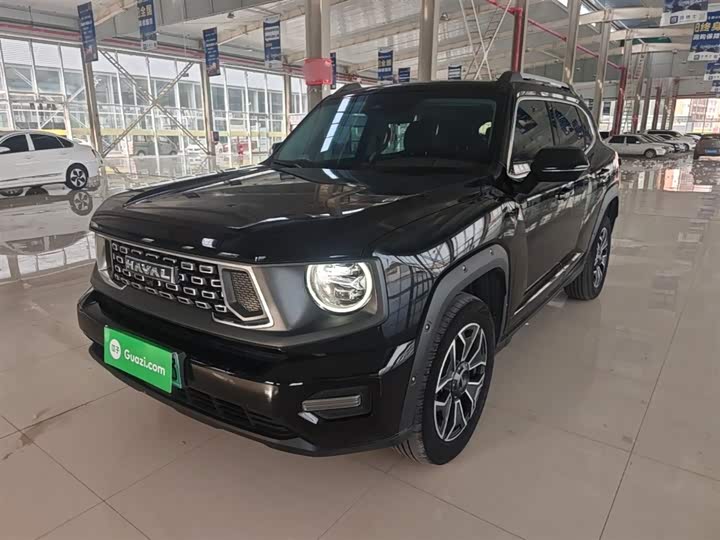 Haval H-Dog Hybrid 2023 2023款 DHT-PHEV 105km 潮电版