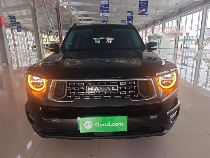 Haval H-Dog Hybrid 2023 2023款 DHT-PHEV 105km 潮电版