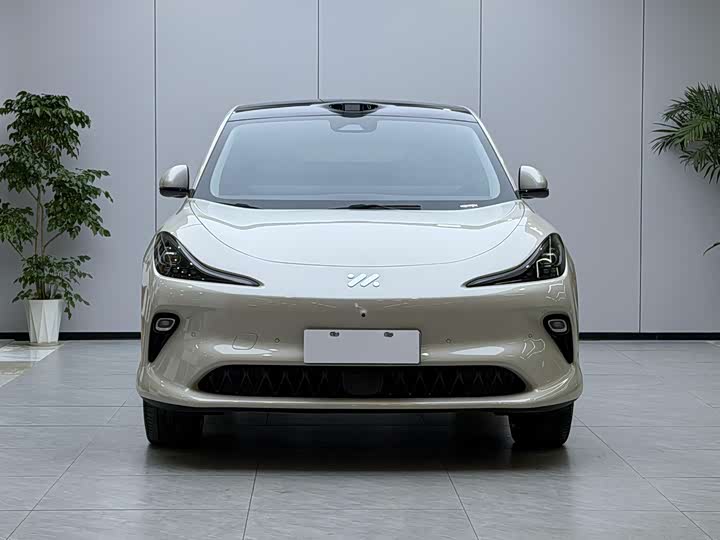 Фото 2 - IM motors LS6